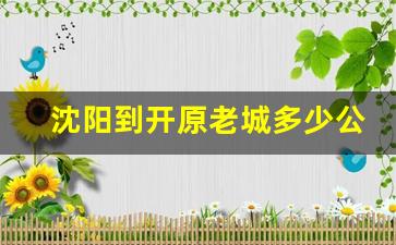 沈阳到开原老城多少公里