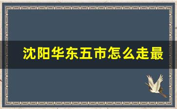 沈阳华东五市怎么走最合理_辽宁沈阳属于华东华南还是华中华北