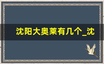 沈阳大奥莱有几个_沈阳奥莱购物中心