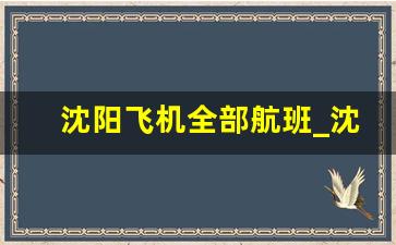 沈阳飞机全部航班_沈阳直飞的国际航线有哪些