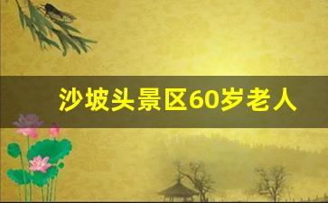 沙坡头景区60岁老人门票价格