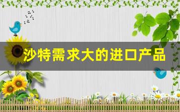 沙特需求大的进口产品_去沙特做生意中国人注意了