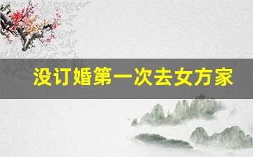 没订婚第一次去女方家带什么_第一次非正式见女方家长