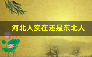 河北人实在还是东北人实在_东北和河北有什么区别