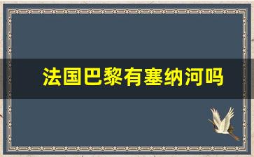 法国巴黎有塞纳河吗