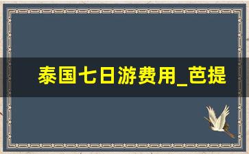 泰国七日游费用_芭提雅自由行攻略