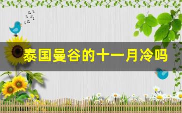 泰国曼谷的十一月冷吗_泰国全年气温变化表