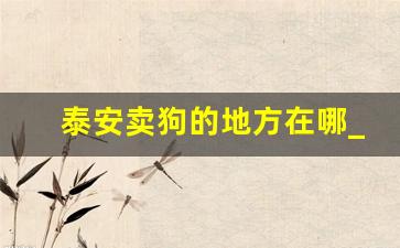 泰安卖狗的地方在哪_收活狗多少钱一斤2023