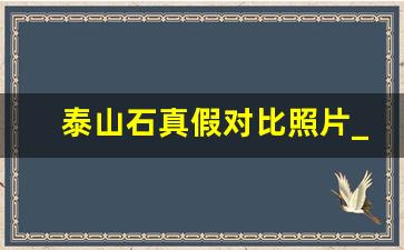 泰山石真假对比照片_造假泰山石图片