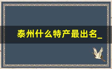 泰州什么特产最出名_最新泰州必吃十大美食