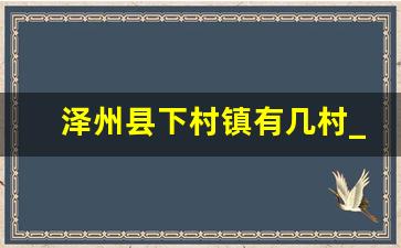 泽州县下村镇有几村_泽州县南村镇有哪些村