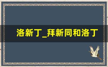 洛新丁_拜新同和洛丁新组合