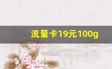 流量卡19元100g全国通用