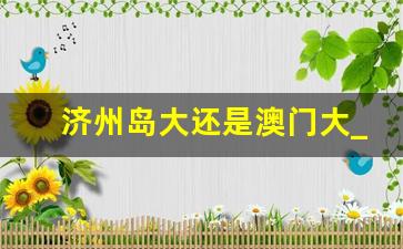 济州岛大还是澳门大_韩国济州岛很多中国人居住