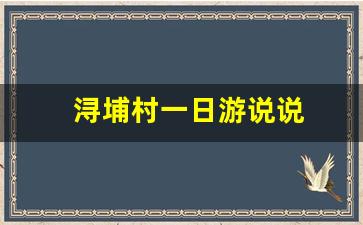 浔埔村一日游说说