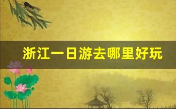 浙江一日游去哪里好玩自驾