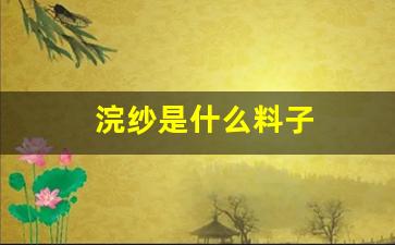 浣纱是什么料子