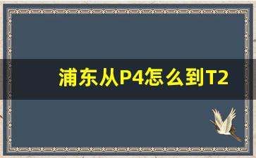 浦东从P4怎么到T2