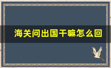 海关问出国干嘛怎么回答