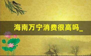 海南万宁消费很高吗_从海口去万宁方便吗