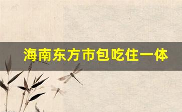 海南东方市包吃住一体公寓_海南东方市租房子过冬价格