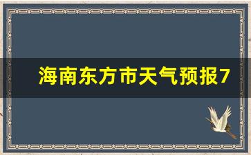 海南东方市天气预报7天_东方市天气预报30天