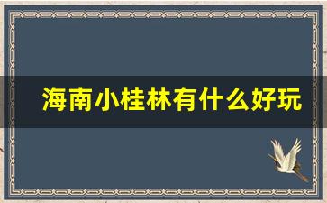 海南小桂林有什么好玩的地方