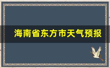 海南省东方市天气预报一个月的天气_海南东方预报天气