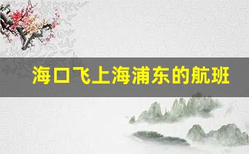 海口飞上海浦东的航班今日_ca8574航班动态