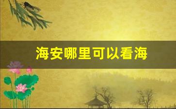 海安哪里可以看海