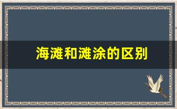 海滩和滩涂的区别