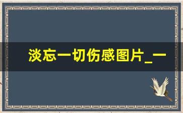 淡忘一切伤感图片_一看就心疼的图片