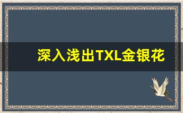 深入浅出TXL金银花笔趣_极致沉迷TXL金银花