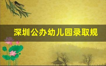 深圳公办幼儿园录取规则_宝安区公立幼儿园名单