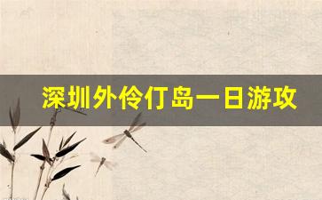 深圳外伶仃岛一日游攻略_从深圳到伶仃岛的最佳路线