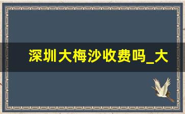 深圳大梅沙收费吗_大梅沙收费还是小梅沙收费