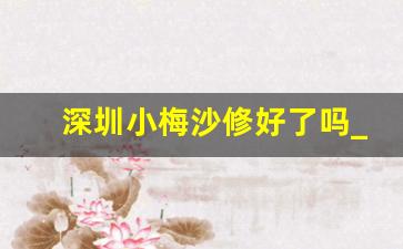 深圳小梅沙修好了吗_2023小梅沙建好了吗