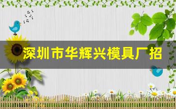 深圳市华辉兴模具厂招聘_深圳龙华华辉派遣公司