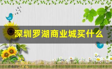 深圳罗湖商业城买什么_罗湖商业街在哪