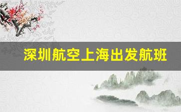 深圳航空上海出发航班_山东航空的航班情况