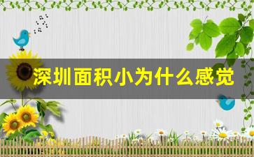 深圳面积小为什么感觉好大_国家会让深圳超过上海吗