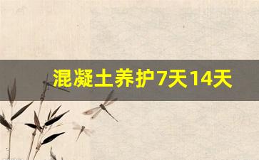 混凝土养护7天14天28天