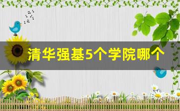 清华强基5个学院哪个专业好_最吃香的强基计划专业