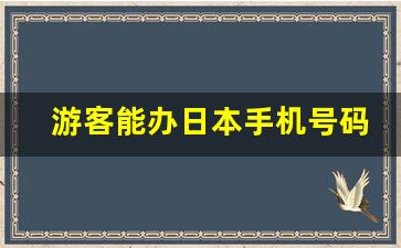 游客能办日本手机号码吗