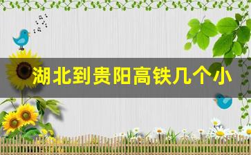 湖北到贵阳高铁几个小时_武汉高铁至贵阳多长时间