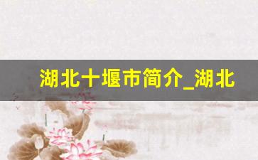 湖北十堰市简介_湖北为什么不支持十堰