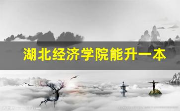 湖北经济学院能升一本吗_湖北经济学院啥时候升大学啊