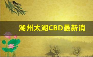 湖州太湖CBD最新消息_南太湖cbd项目总投资