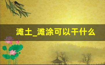 滩土_滩涂可以干什么