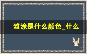 滩涂是什么颜色_什么变滩涂